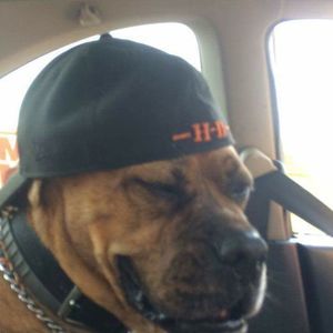 Meet your Posher, John